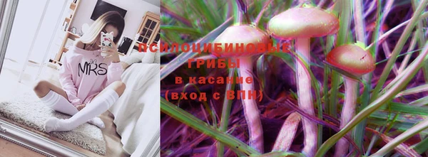 бошки Верхний Тагил