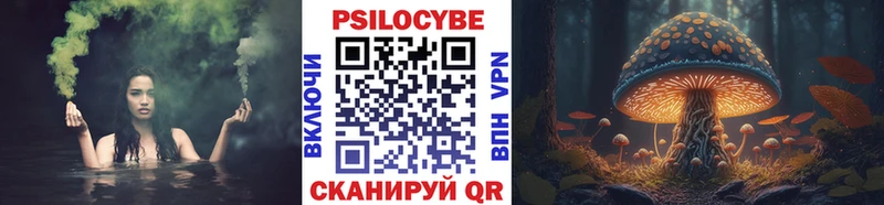 как найти закладки  kraken онион  Псилоцибиновые грибы Cubensis  Гаджиево 